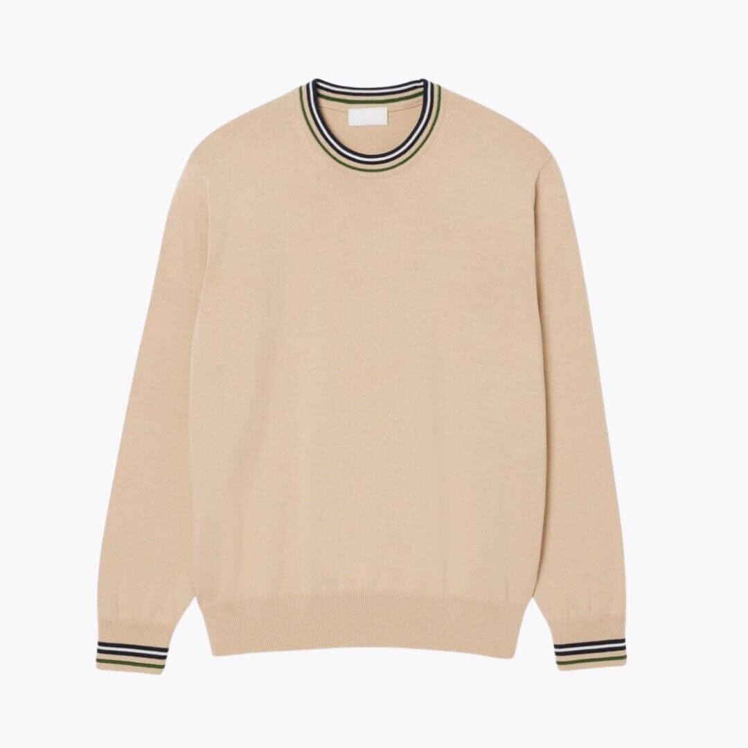 Striped Cotton Jersey Sweater