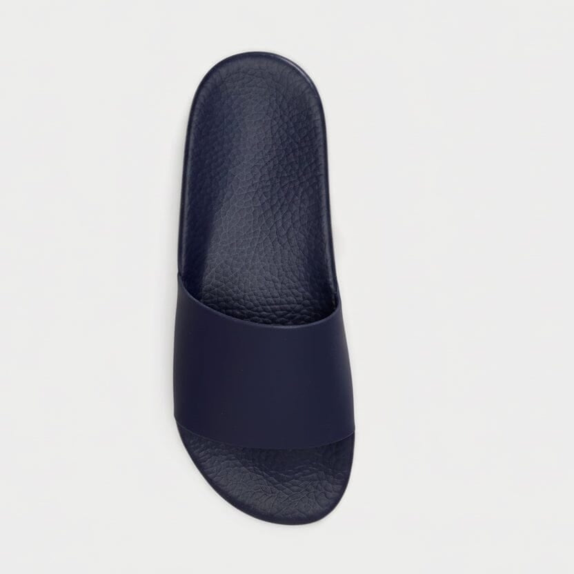 Polo Bear Slide