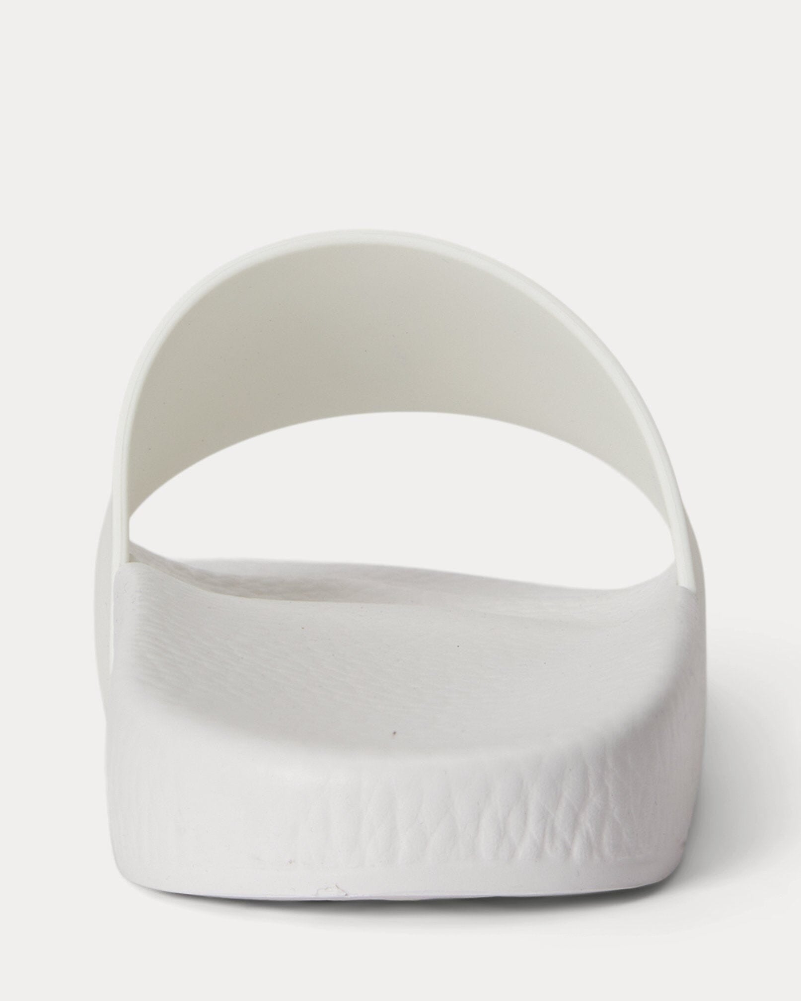 Polo Bear Slide